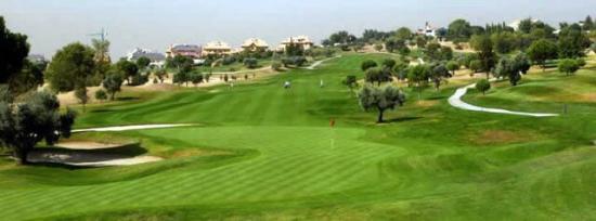 Golf La Moraleja